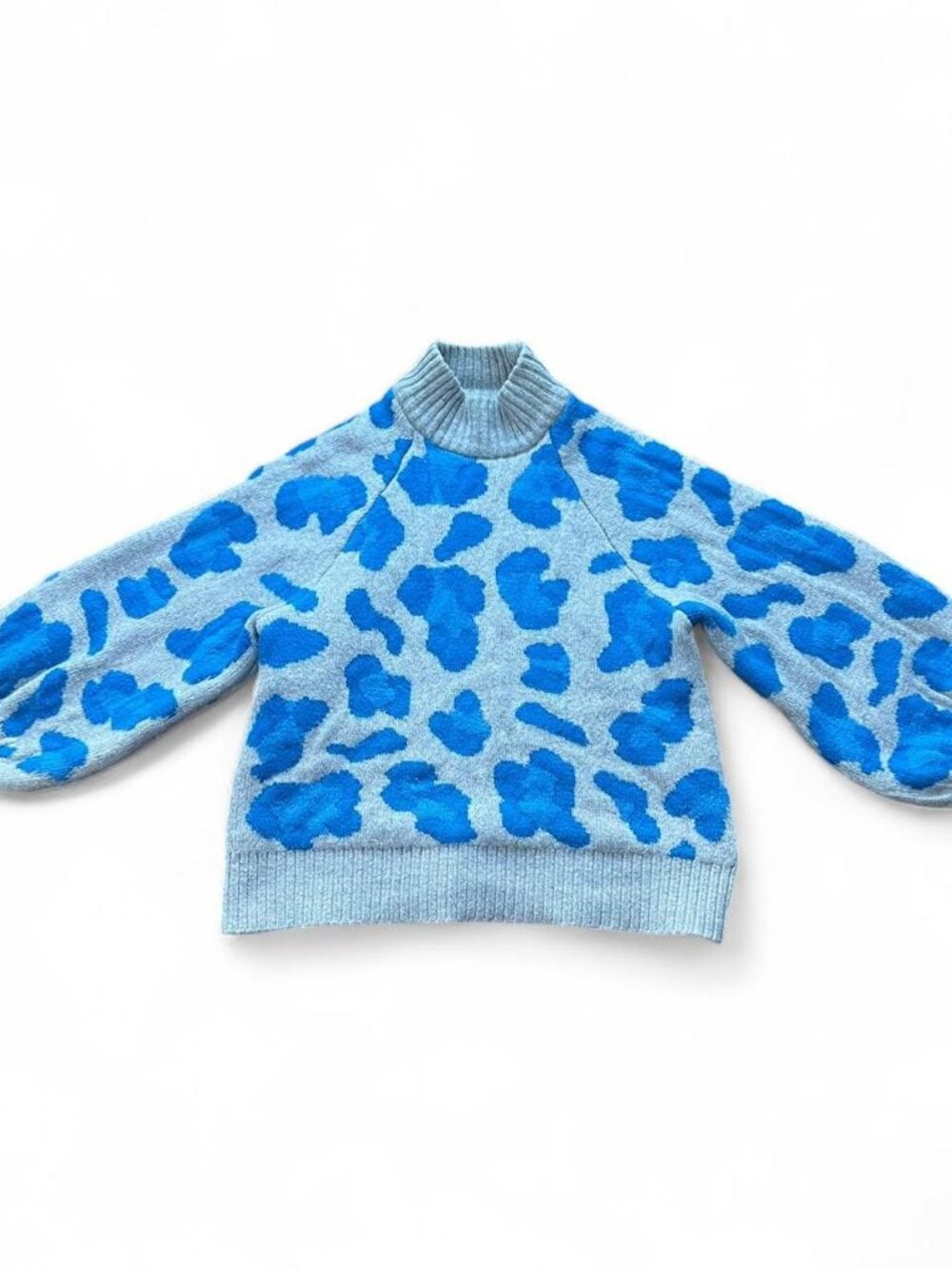 H&M Blue Leopard Print Cozy Sweater Size S